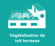 Végétalisation de toit terrasse Dijon